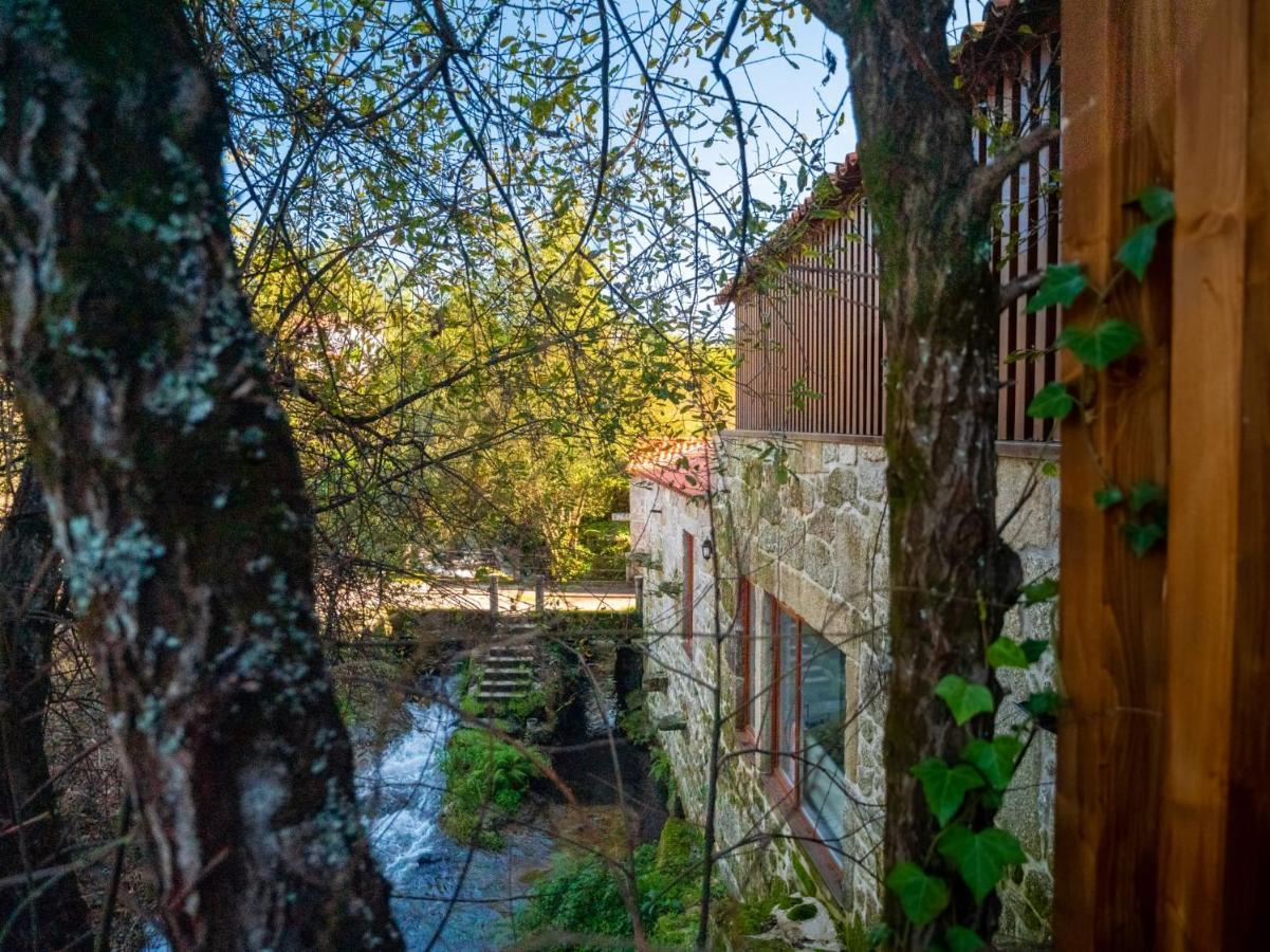 Vila Casa Som Do Rio Ponte de Lima Exteriér fotografie